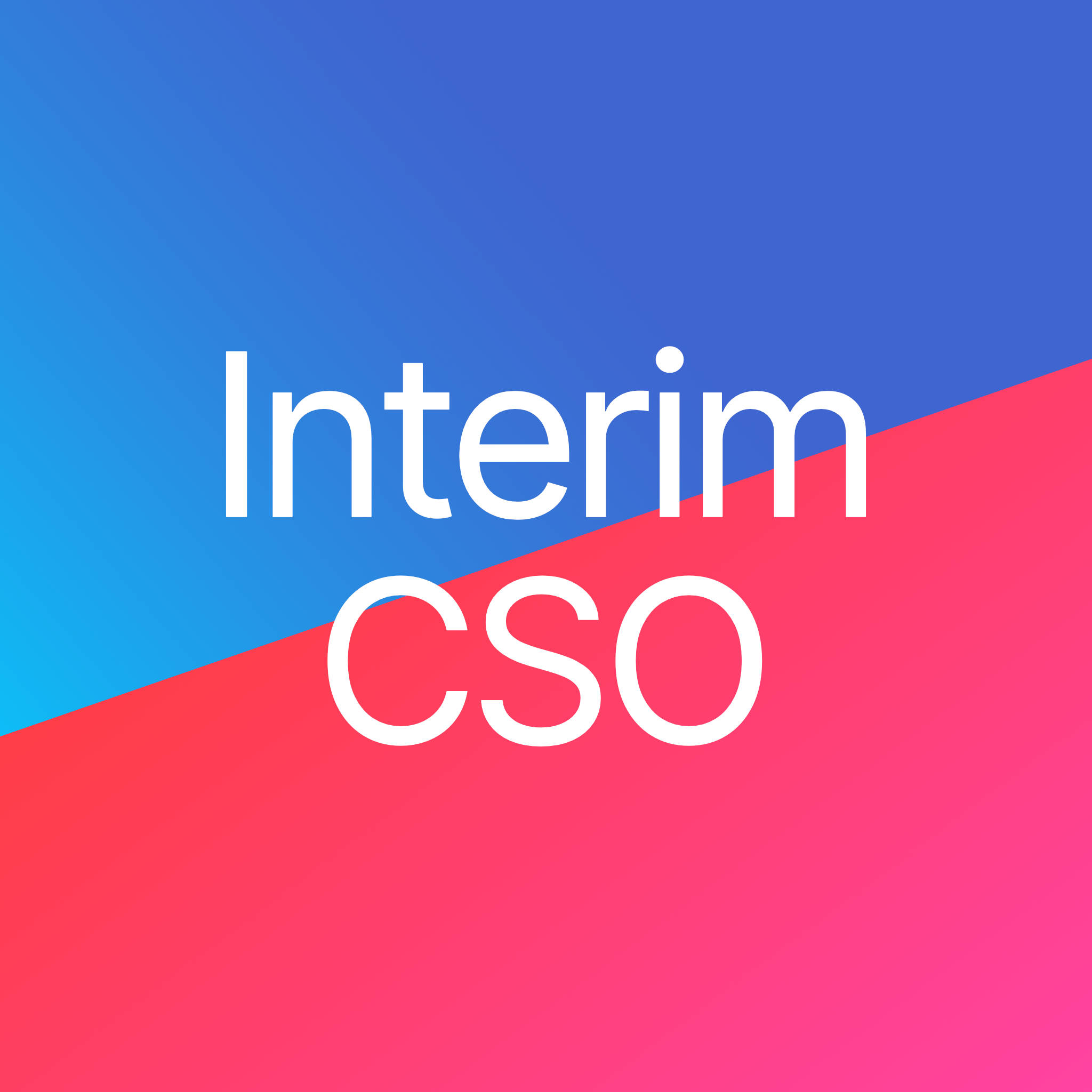 Interim CSO ja interim myyntijohtaja